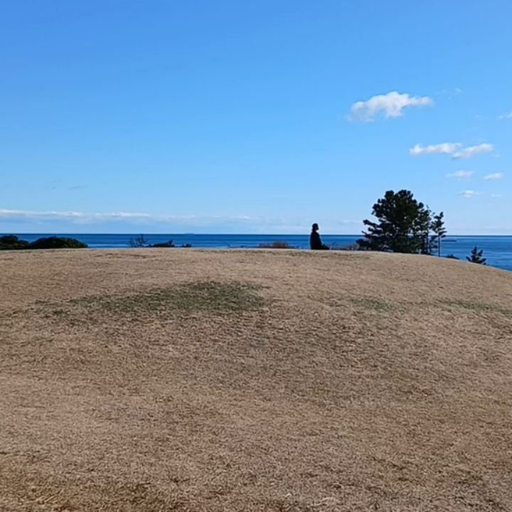 During our New Year's holidays