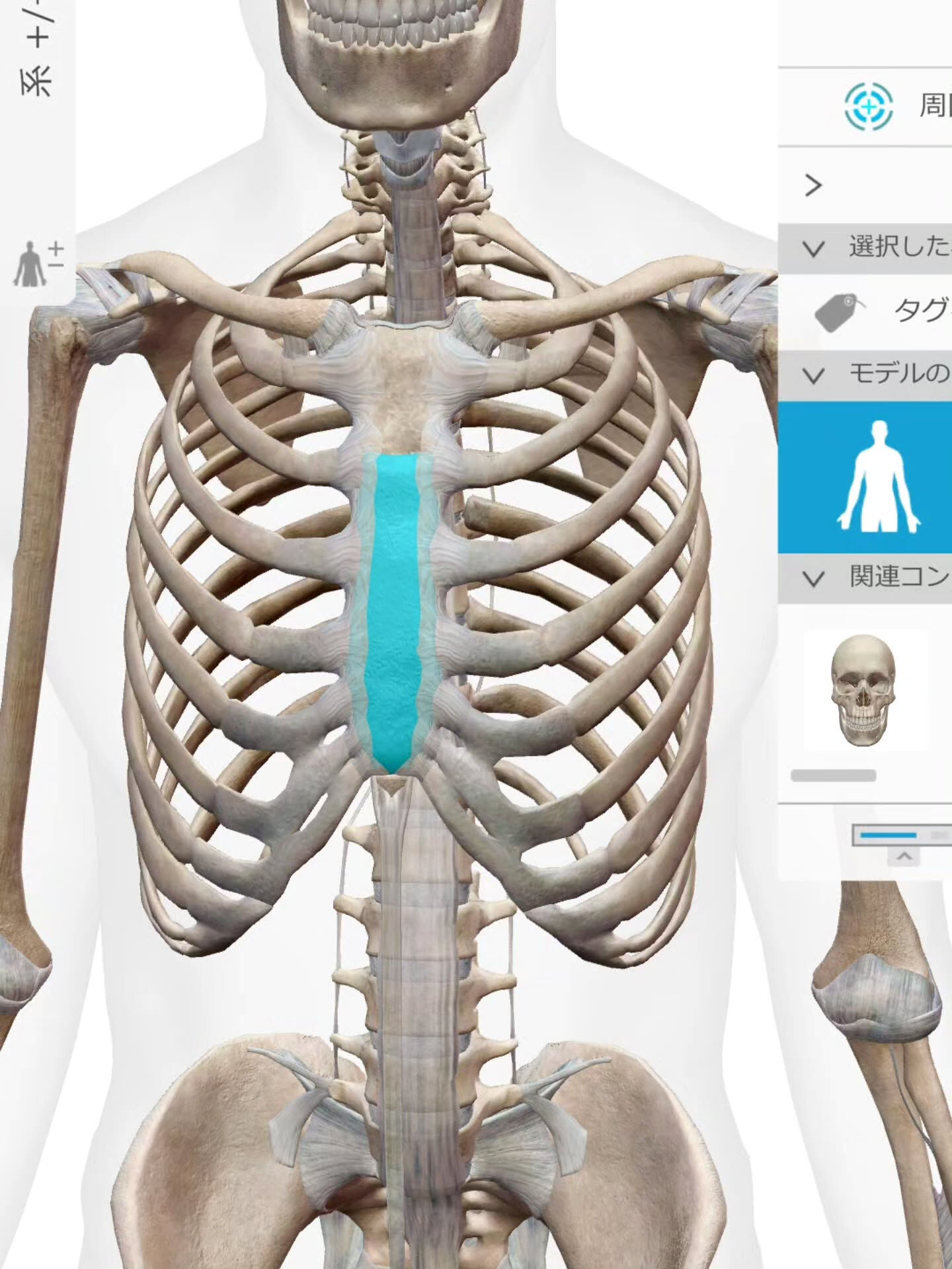 Tips for aligning your body fr